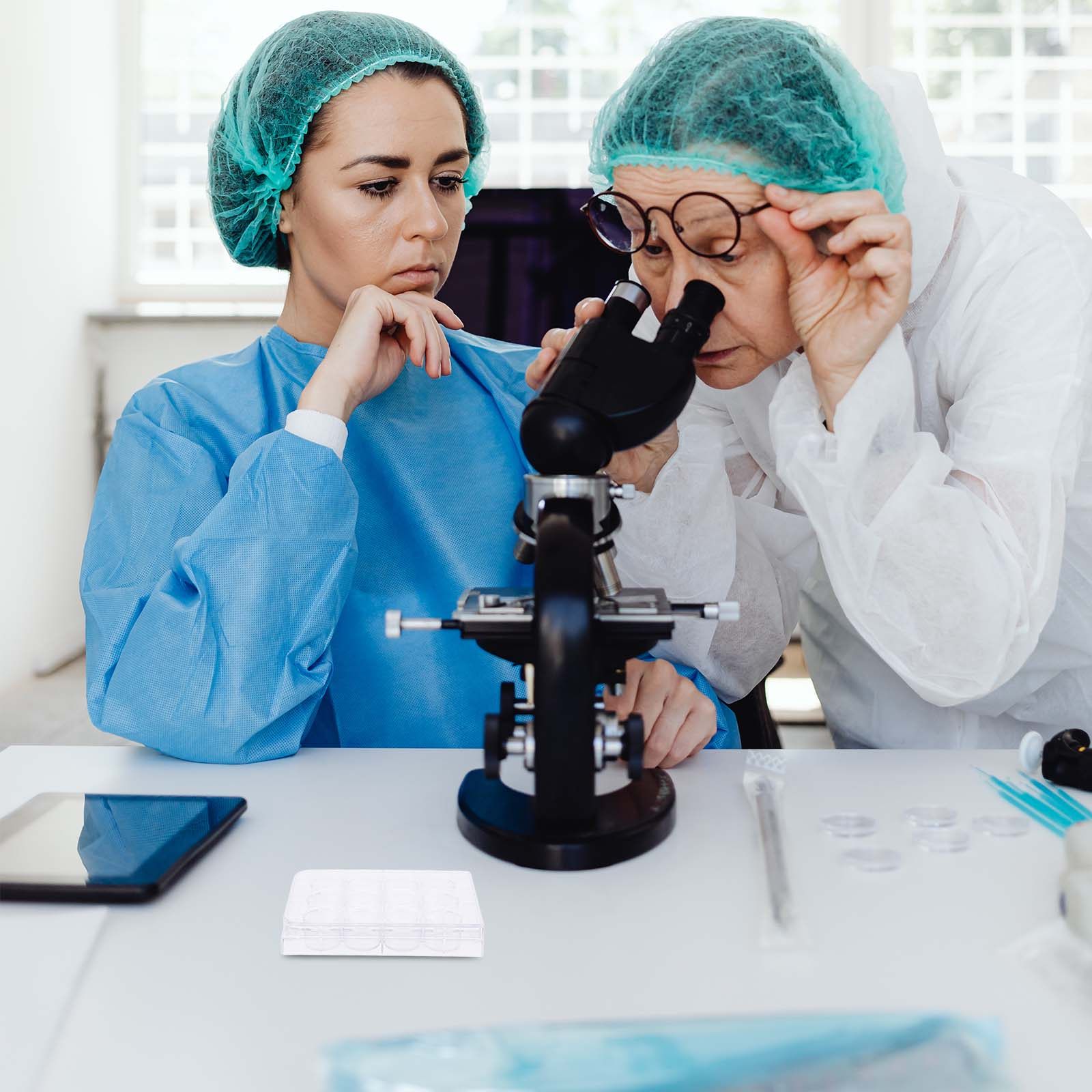Płytka do hodowli komórek z 12 – Lab Equipment recenzja i cena
